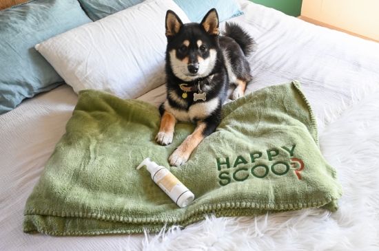 Couverture pour chien, idéale pour les journées froides