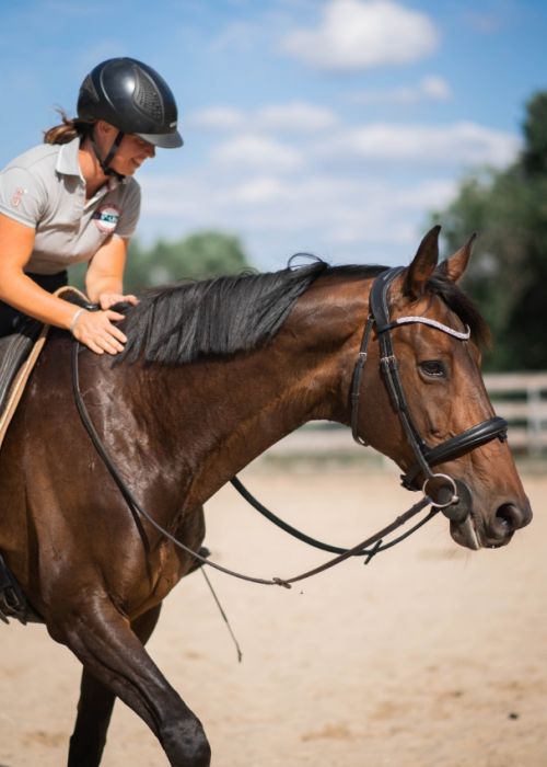 Cavalier équipé d'une tenue technique et d'un casque de protection